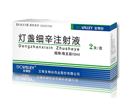 燈盞細辛注射液